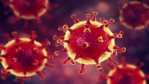Роспотребнадзор: прививка от коронавируса - не гарантия безопасности