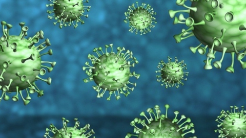 Тринадцать детей и 80 стариков заболели коронавирусом