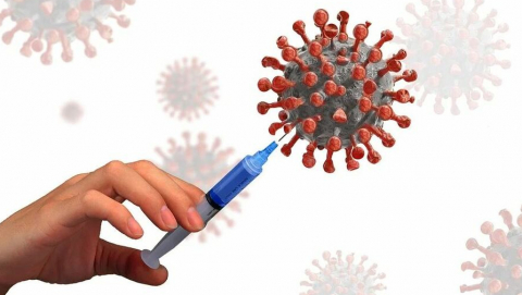 В следующем году начнется массовая вакцинация от коронавируса