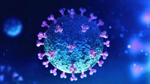 273 новых случая коронавируса