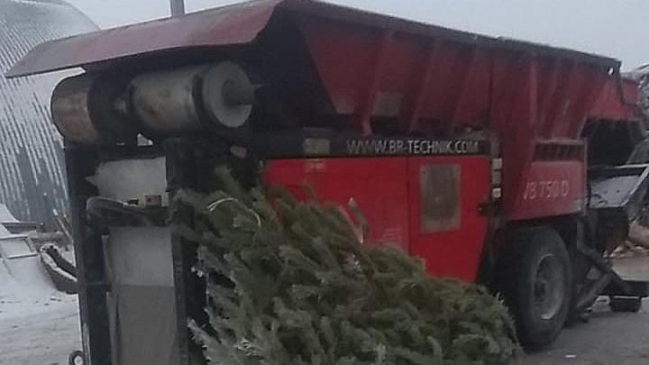 Регоператор обеспечит вывоз праздничных елок с контейнерных площадок