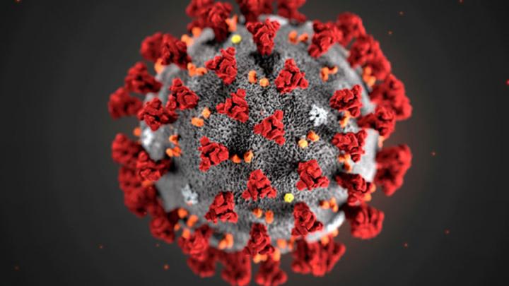 Количество заболевших за сутки коронавирусом снизилось до 253 человек