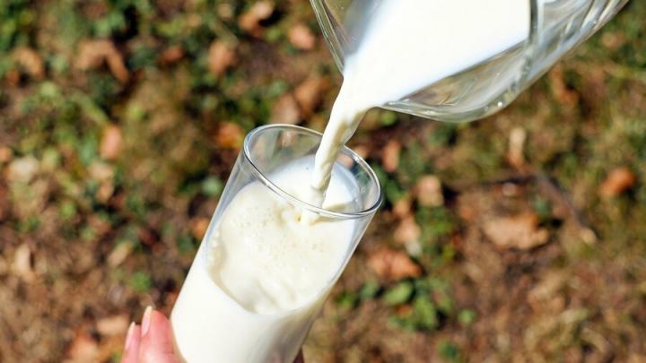 Саратовцам расскажут о безопасности молочных продуктов