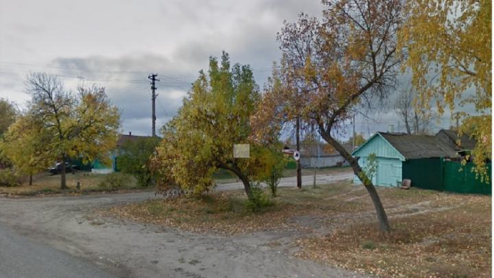 В Романовке к осени благоустроят парк