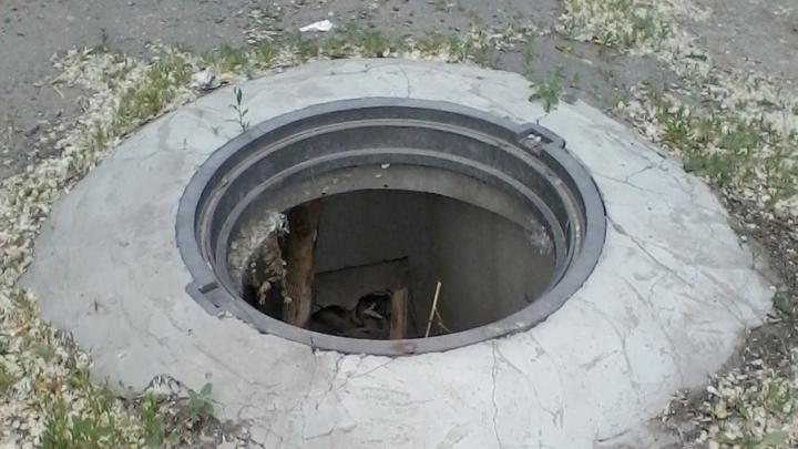 Люк в калину