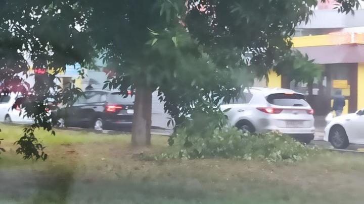 Шквалистый ветер ломает деревья в Саратове