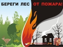 В Саратовской области установилась уникально низкая пожароопасность
