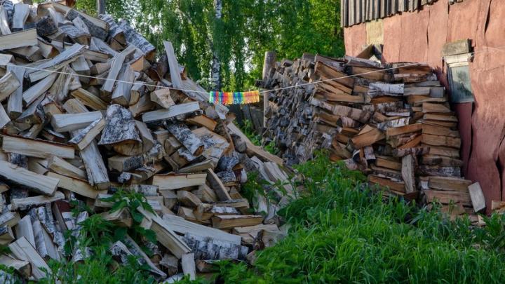 Житель Пугачевского района устроил плантацию конопли на своем подворье