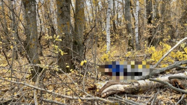 Мужчину убила ветка сухого дерева в Новобурасском районе