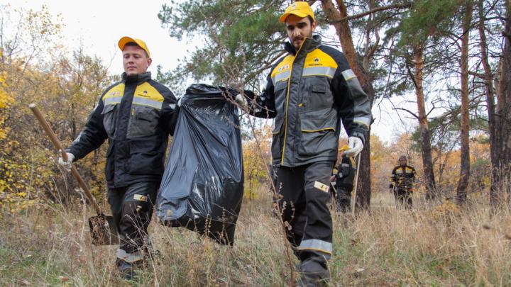 Гектар соснового бора очистили от мусора молодые специалисты Саратовского НПЗ