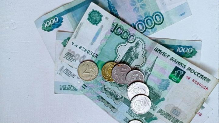 Среднемесячная зарплата по Саратовской области снизилась на 668 рублей