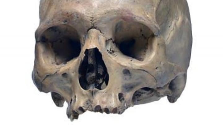 Накануне Хэллоуина саратовский дачник нашел на участке человеческий череп