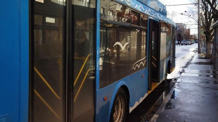 В Саратове остановились три троллейбусных маршрута 