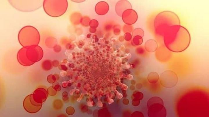 Роспотребнадзор: новый штамм коронавируса вызывает опасения
