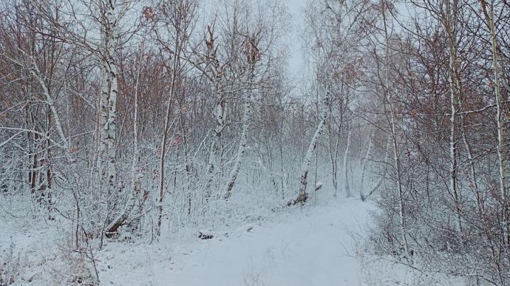 Зима в Саратовскую область придет после выходных