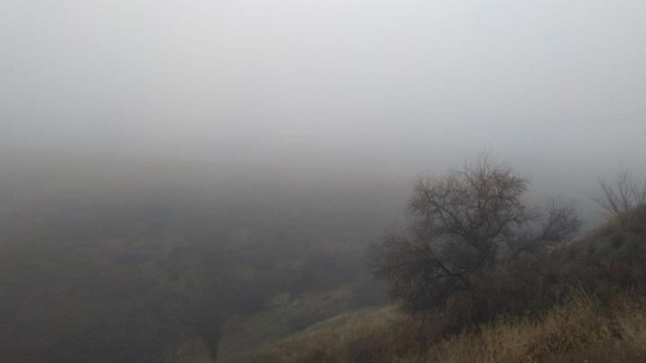 Мокрый снег, гололедица и туман в Саратовской области