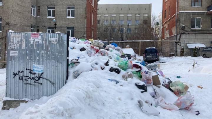 Рядом с общежитиями СГУ больше недели не вывозят мусор
