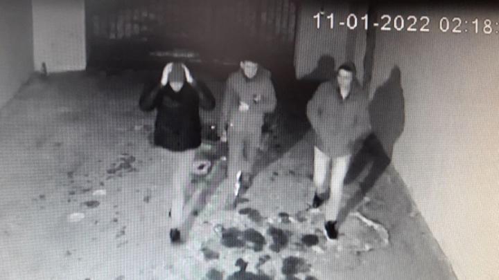 Подростки украли новогодние гирлянды в Заводском районе