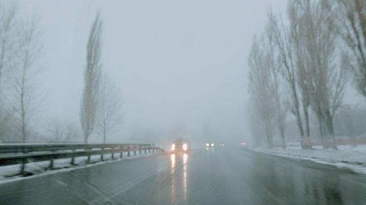 Февральская оттепель: в Саратове дождь