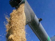 Саратовская область заняла первое место по сбору зерновых