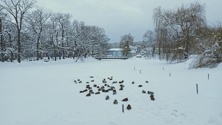 В Саратовской области отменяется весна: грядут морозы до -20 градусов