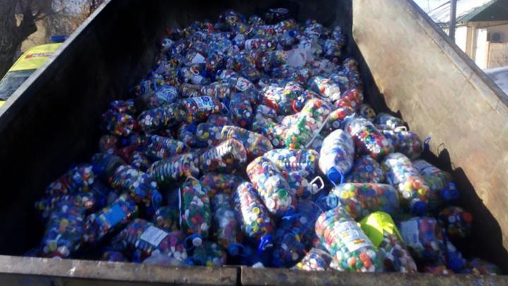 Школы и детсады Саратовской области собрали более 1 млн пластиковых крышек для проекта «Водорослям крышка!»