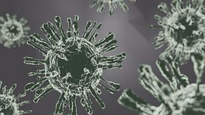 В Саратовской области снижается число заболевших коронавирусом с пневмонией