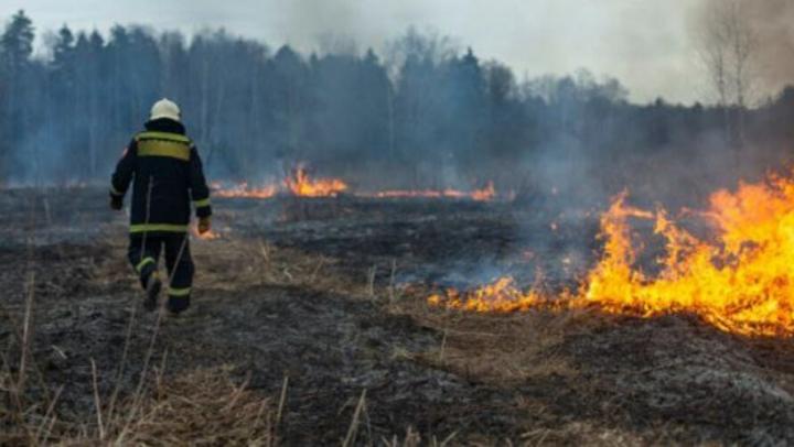 В лесах Саратовской области начинается пожароопасный сезон