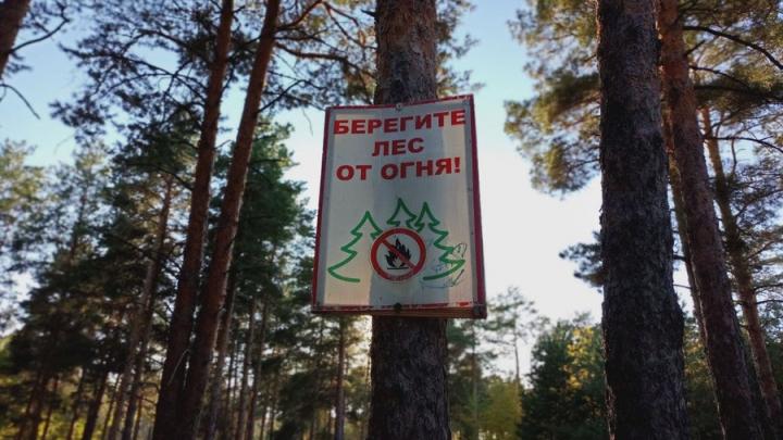 Накануне майских праздников в Саратовской области введен особый противопожарный режим