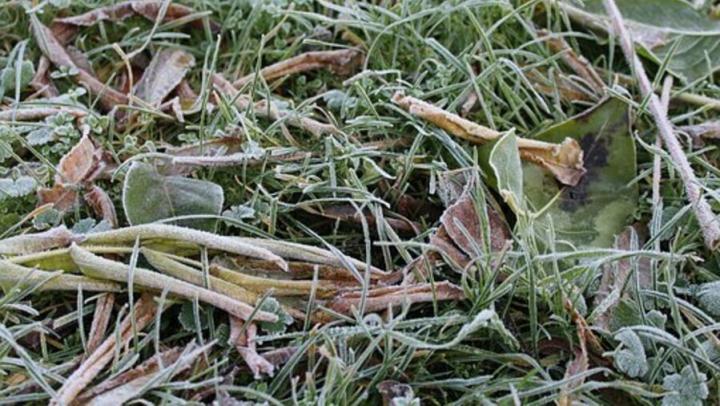 МЧС предупредило о заморозках в Саратовской области 