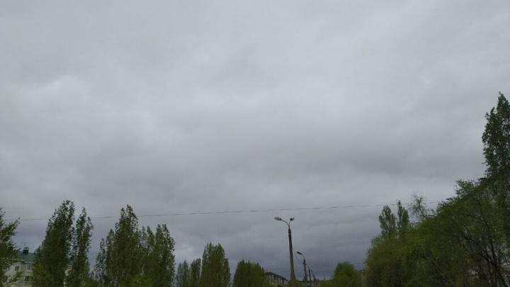 Сильный ветер обещают в Саратовской области