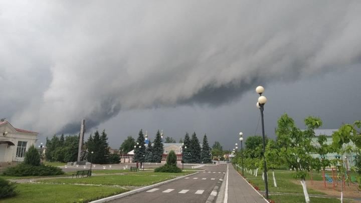 Грозы и ветер прогнозируют в Саратовской области в выходные