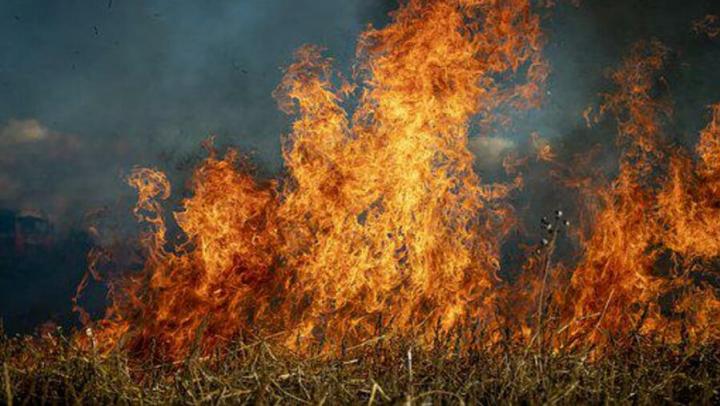 МЧС в первые дни июня ожидает в Левобережье пожары