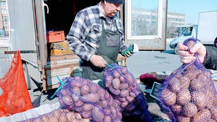 Капуста падает, картофель растет: в Саратовской области цены на продукты пошли вразнос