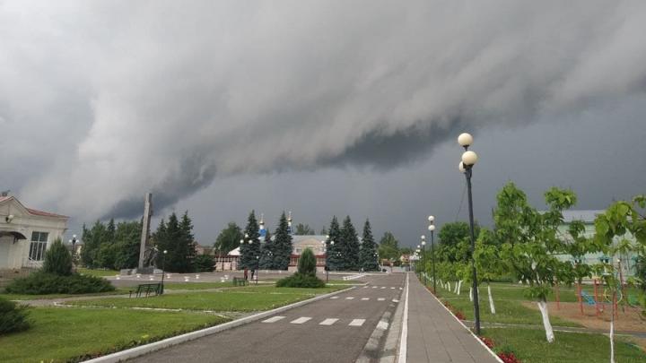 В выходные в Саратовской области прогнозируют дожди и грозы