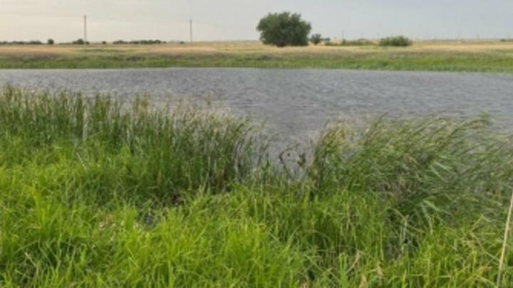 В реке Солянка Озинского района умер пьяный мужчина
