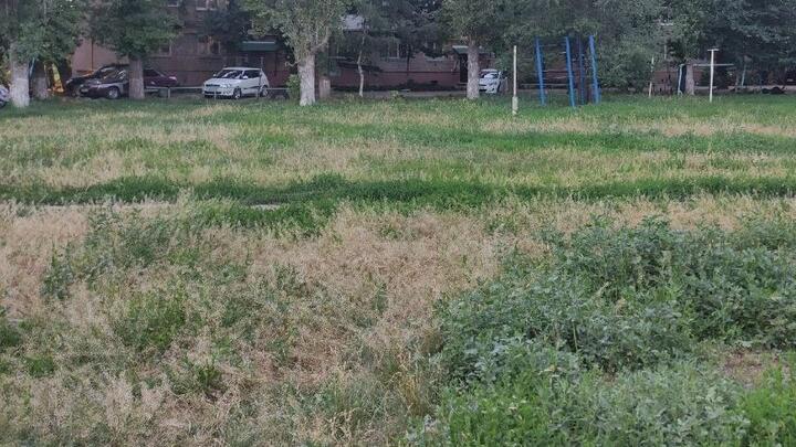 Жители Энгельса жалуются на заросшую травой детскую площадку 