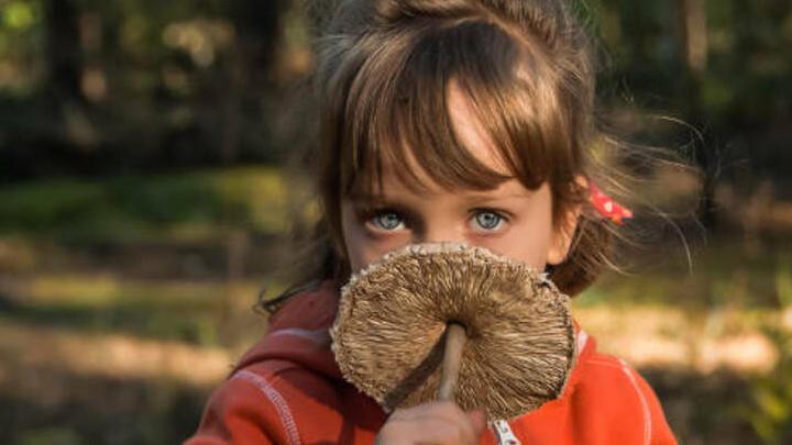Роспотребнадзор Саратовской области не рекомендует кормить грибами детей