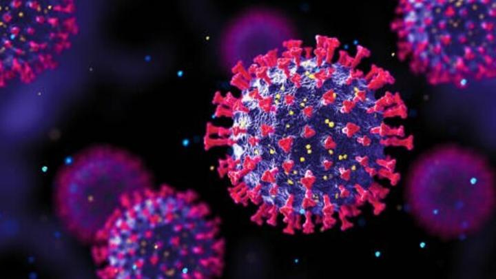В России снизился уровень коллективного иммунитета к коронавирусу