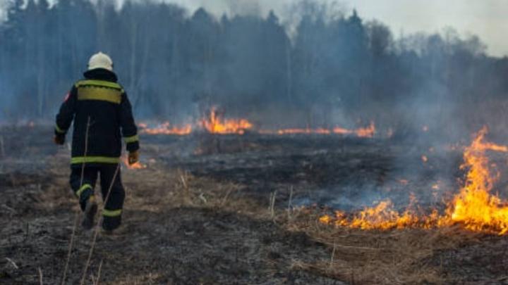 В Саратовской области сохраняется высокая пожарная опасность