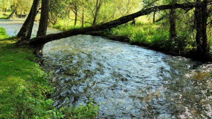 Чистота рек Саратовской области зависит от работы глав районов