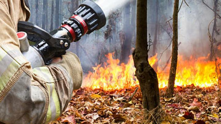 В Саратовской области сохраняется чрезвычайная пожарная опасность