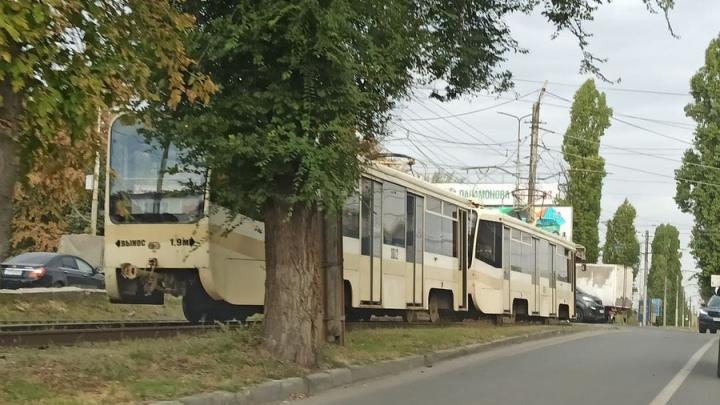 В Саратове утвержден проект реконструкции трамвайной линии от Детского парка до 1-го Просяного проезда