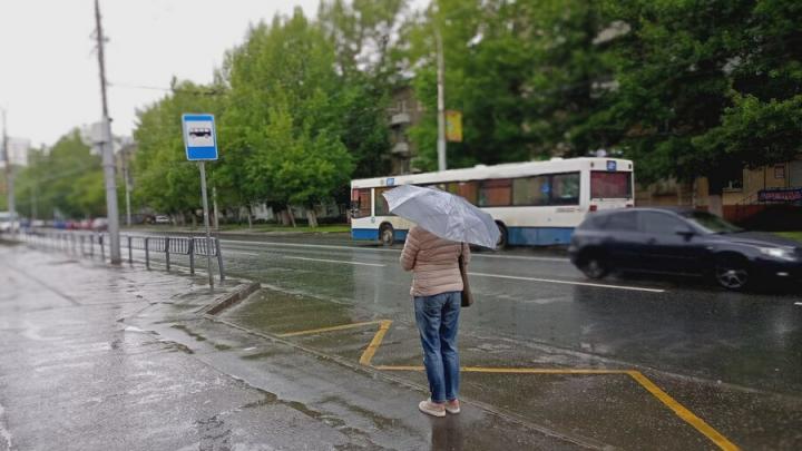 После теплых выходных в Саратов снова придут дожди