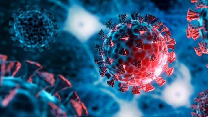 Роспотребнадзор: в России не выявлен подвариант коронавируса "цербер"