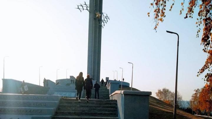 В Саратове утверждены проекты планировки Парка Победы и реконструкции трамвайного маршрута № 6