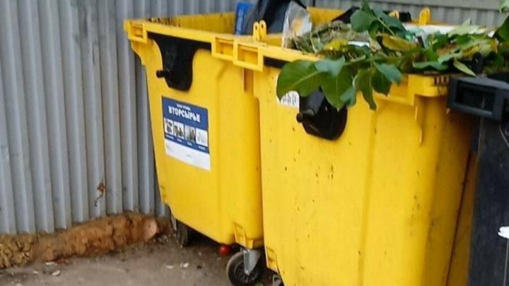 Регоператор: сброс листвы в желтые контейнеры для РСО недопустим