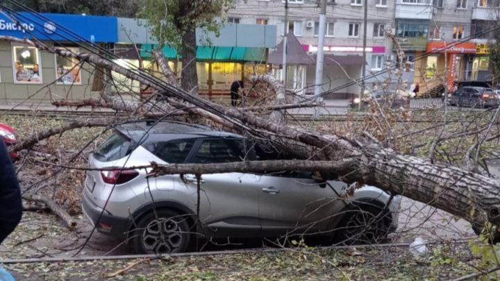 Дерево раздавило иномарку у 3-й Советской больницы в Саратове
