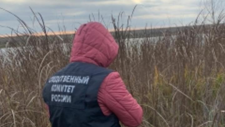 Около пруда в Новоузенском районе нашли скелет человека