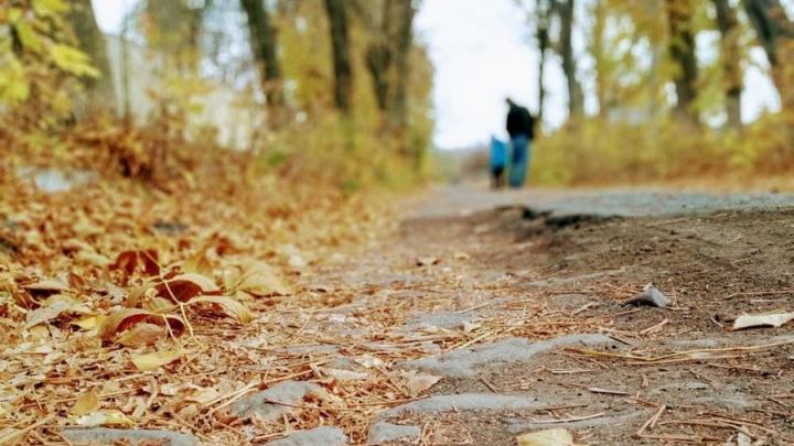 В Саратове тепло, но возможен дождь